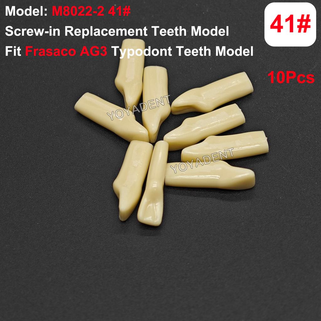 Fit Frasaco AG3 Typodont Dental Teeth Model Full teeth 32Pcs Screw-in Practice Filling Soft Gum Gingivae Teeth Training Teach