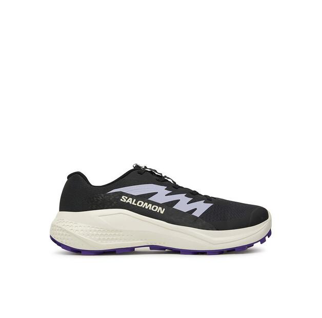 Кроссовки для бега Salomon Alphaglide EU 39_1_3