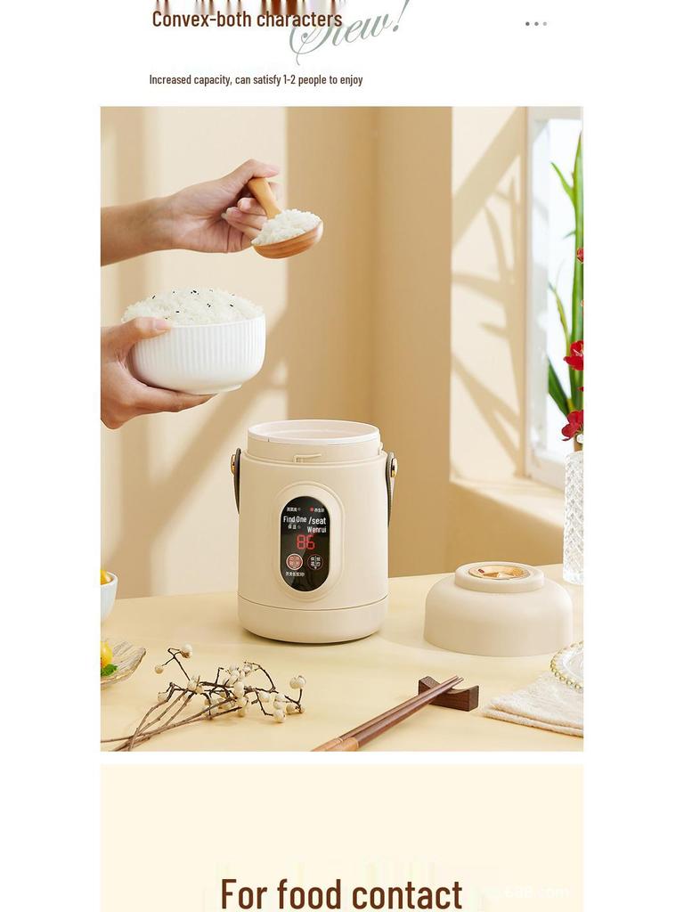 Portable Mini Electric Stew and Hot Pot Cooker - Ideal for Soup, Porridge, and Office Use.