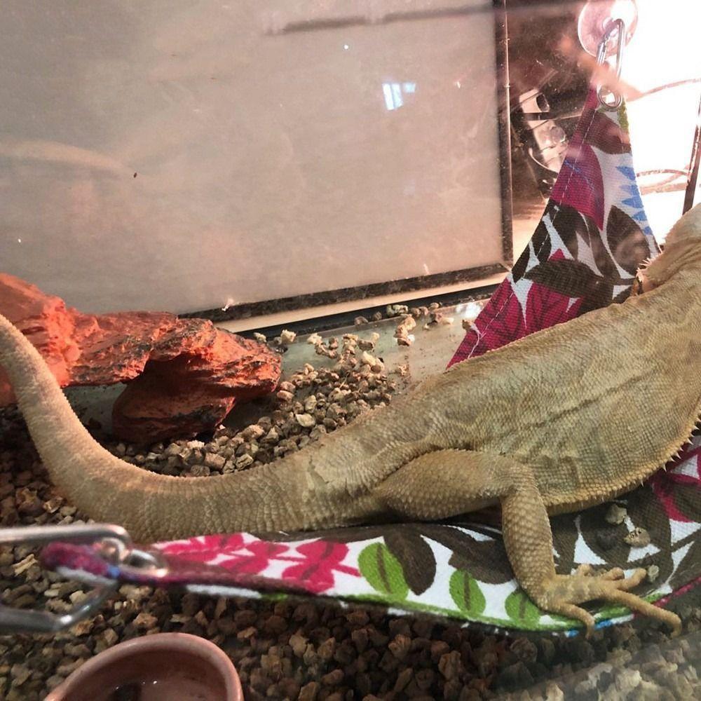 Breathable Pet Hammock Comfortable Hammock Swing Toys Reptile Mat  For Reptile Snake Climb