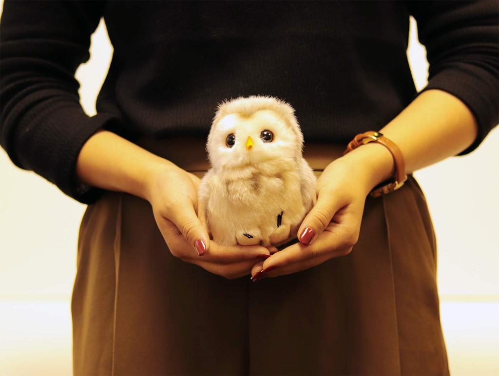 Yoshitoku Land Friends Plush Toy Owl 180512