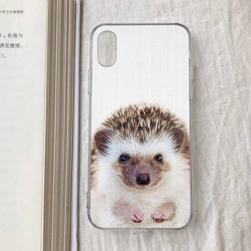 Cute Animal Hedgehog Phone Case for iPhone 11 12 13 mini pro XS MAX 8 7 6 6S Plus X 5S SE 2020 XR case