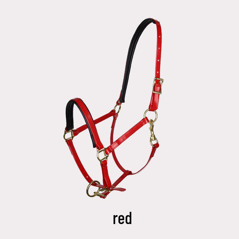 TPU Adjustable Durable Horse Halter and Leading Equipment