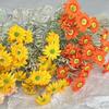 Decoração de casa – Flores e coroas artificiais