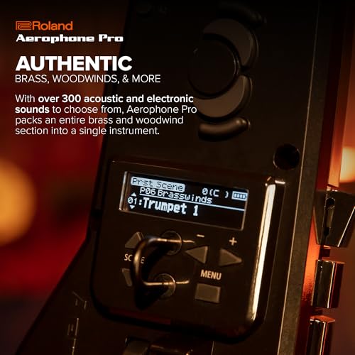 Roland/AEROPHONE PRO AE-30 Aerophone Digital Wind Instrument