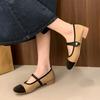 Fashion Silver Block Heel Mary Jane Shoes Women's 2025 New Spring and Autumn French Vintage Shoes