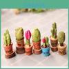 Jardinagem e paisagismo – Decoração de jardim