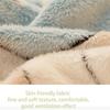 Winter Household Coral Velvet Bed Sheet Single-piece Double-sided Thickening Plus Velvet Flannel Blanket Blanket