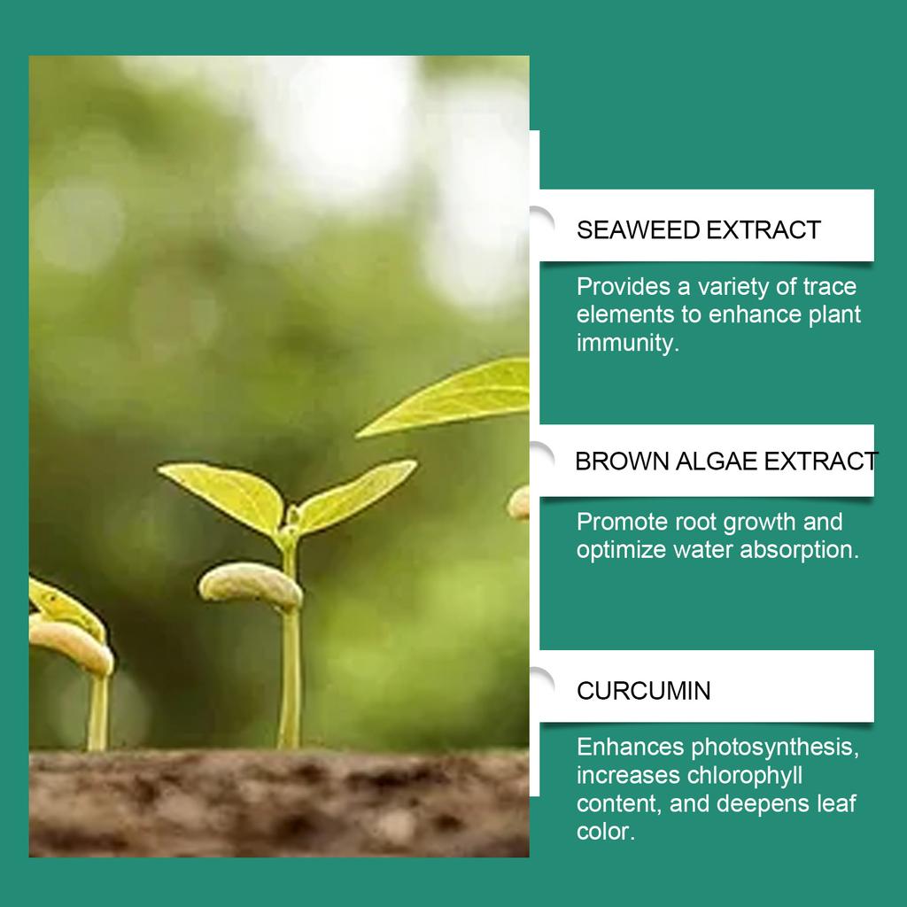 Plant Growth Fertilizers Stick for Healthy Indoor & Outdoor Gardening Easy To Use Continuous Release Full Nutrition