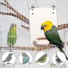 2025 Latest Model Bird Stand Rope Perch With Mirror Parrot Toy, Bird Mirror For