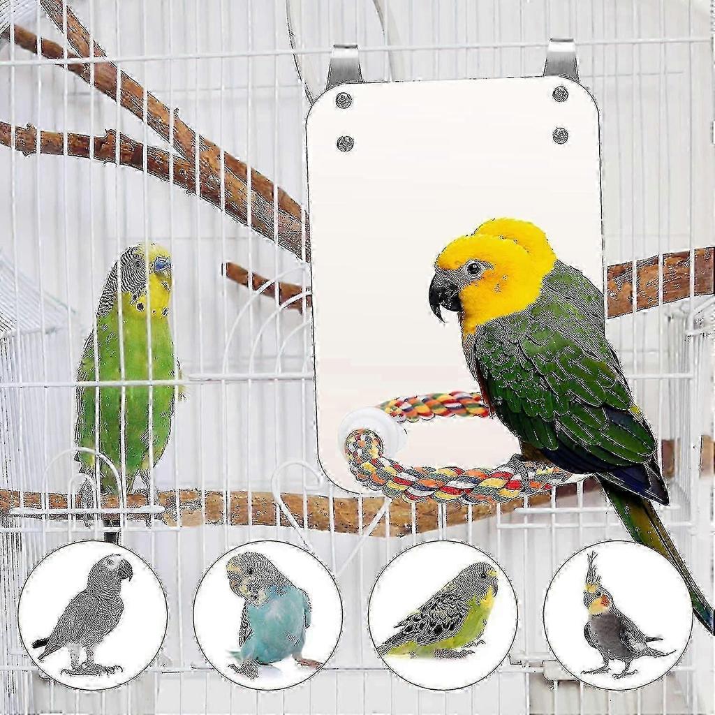 2025 Latest Model Bird Stand Rope Perch With Mirror Parrot Toy, Bird Mirror For