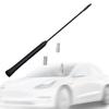 Automobile Stereo Car Antenna Mast Universal Fit Premium Roof Radio Signal Parts with M4 M5 M6 Screws for Vehicles