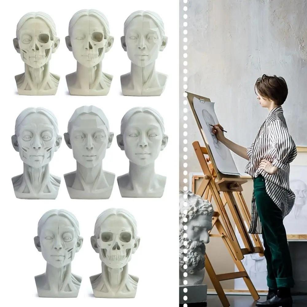 Still Life Ornament Planar Head Model Resin Skecthing Painting Sculpture  for Art Beginner