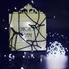 50/100/200 Led Solar Lights Outdoor Waterproof Fairy Holiday Lights Garlands Christmas Tree Solar Chain String Garden Decoration