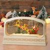 Lighted Christmas Snow Globe Tabletop Ornament Music Box Decorative Xmas Decor