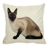Thailand Cat Theme Pattern Double-Sided Printed Pillow Cover Short Plush Suitable Living Rooms Bedrooms Sofa Throw Cushion Cover