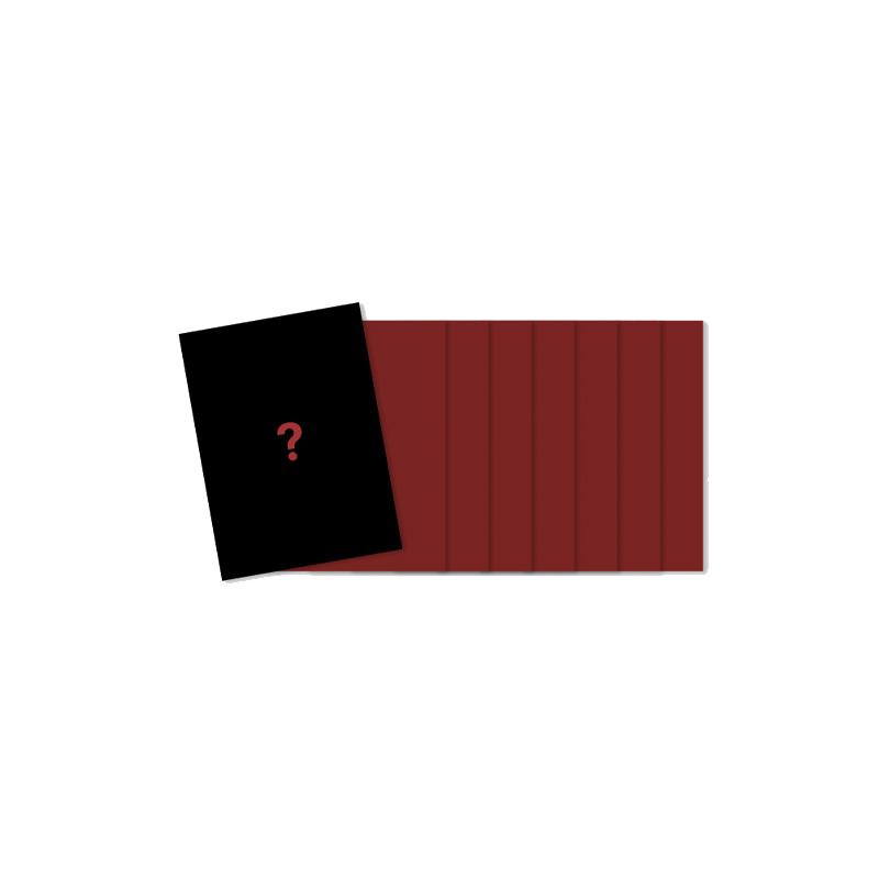 [FORHÅNDSBESTILLING] Stray Kids – World Tour [dominATE SEOUL] Fotokort