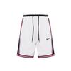 Dri Fit Sports Shorts Men's CV1898-030