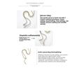 Heavy industry collarbone chain, high-grade zircon pull rope snake necklace, versatile neck chain