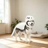 Halloween Dinosaurierskelett Kostüm für Haustiere, Skelettschädel und Rippen Design Outfit mit gepolsterter Wirbelsäule und Schwanz für Hunde und Katzen Cosplay