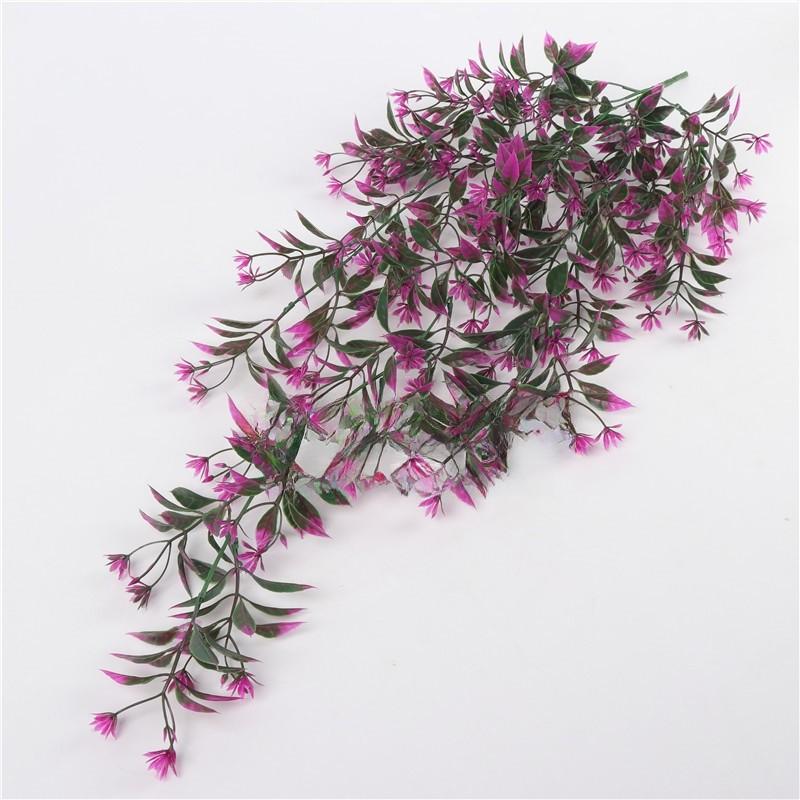 Chlorophytum Indoor Comosum Wall Hanging Plant For Living Room And Bedroom