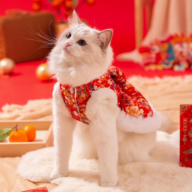 Pet New Year Cat Clothes Autumn and Winter Warm Cat Festive New Year Greetings Two-legged Cotton-padded Clothes Skirt Winter Clothing
