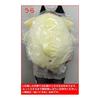 Pom Pom Purin Super BIG stuffed animal - Wink! - 1 type in total