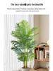 Bionic Green Sprenger's Fern Artificial Tree for Indoor Luxury Living Room Décor