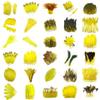 FeatherYellow Feathers for Crafts, 31 Styles Natural Pheasant, Rooster, Duck Feathers Bulk for Costume DIY, Fly Tying,Party Decoration