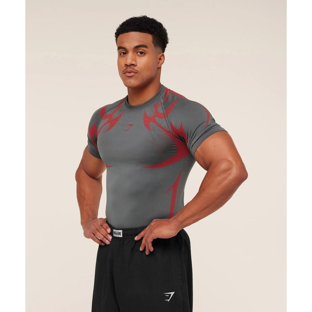 Short Sleeved Summer T-shirt Quick Drying Breathable Sports and Leisure Running Top Elastic Fitness