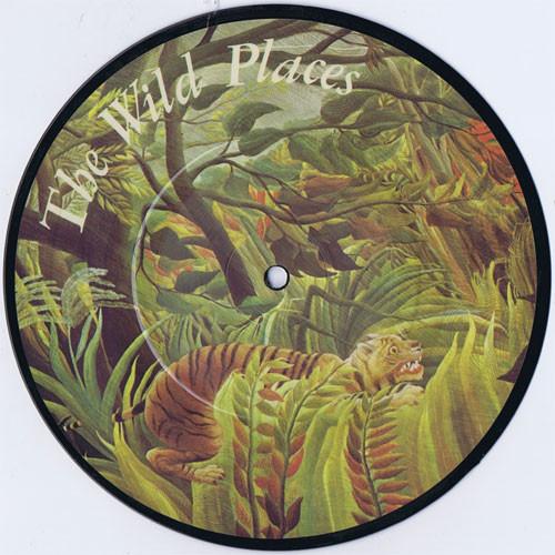 7inch Record DUNCAN BROWNE - The Wild Places GO329 Logo 1978 UK Rock Used