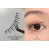 Candy Drop - Set of 5: False Eyelashes + Applicator + Glue