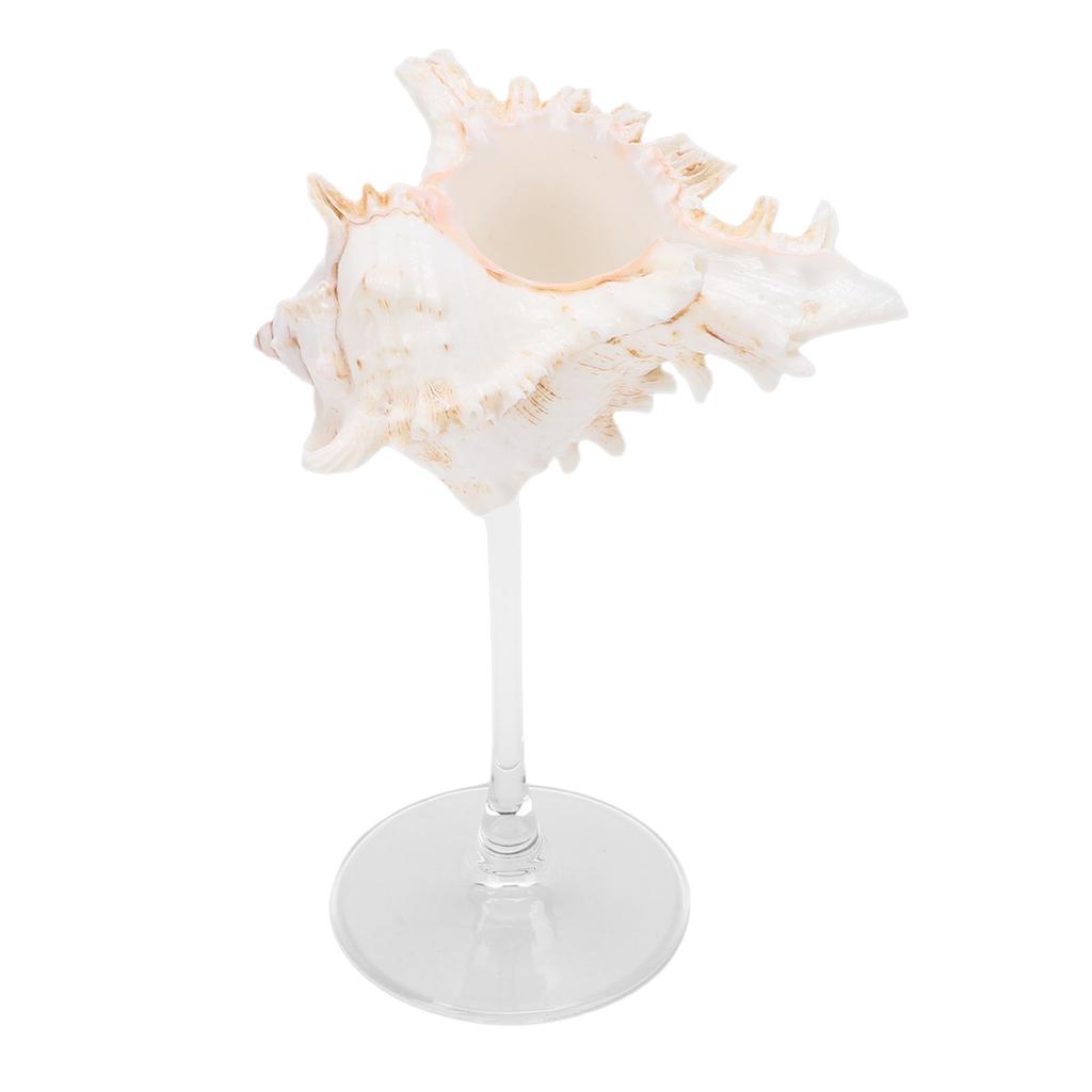 Conch Shell Wine Glass Elegant Unique Creative Drinking Goblet Cocktail Drinks Cup for Wedding Party Bar