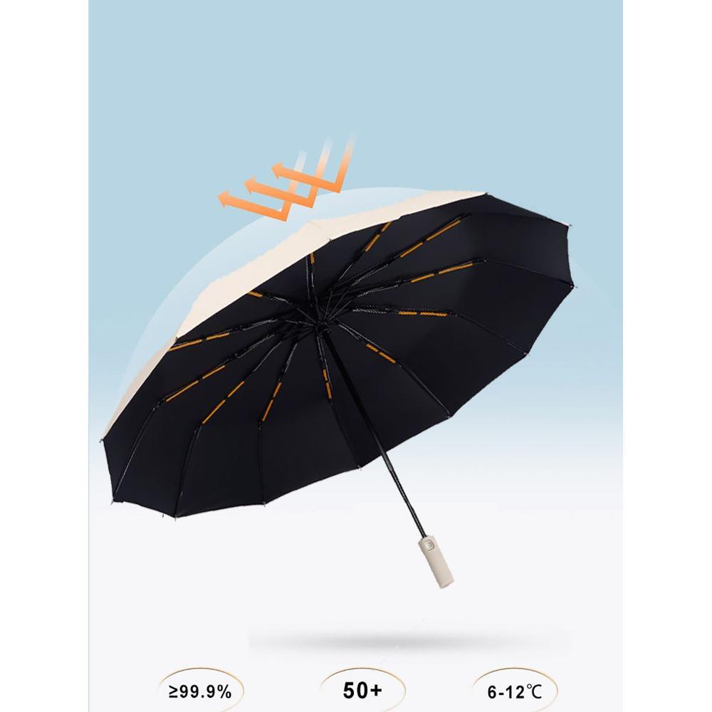 Windproof Double Layer Resistant Umbrella Fully Automatic Rain Men Women 24K Strong Luxury Business Male Large Umbrellas Parasol