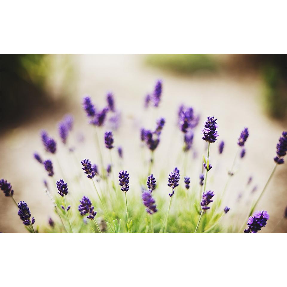 Landscape DIY5D Diamond Painting Rhinestone Pictures Mosaic Landscape Cross Stitch Kit