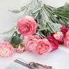 Peony Lotus Flower Flocking Bouquet: 3-Head Artificial Floral Arrangement for Living Room & Dining Table Decor.