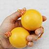 2 Pair Asalato Rhythmic Ball Hand Percussion Instruments Rattle Asalato Shaker for Adults And Teenagers