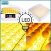 Egg incubator automatic hatcher hatchery poultry breeding ovoscope 56