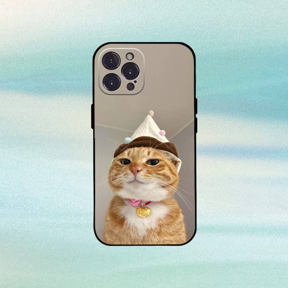 Cool Cat Cute Phone Case For iPhone17,16,15,14,13,12,Plus,Pro Max, 5G Others Soft Black Cover