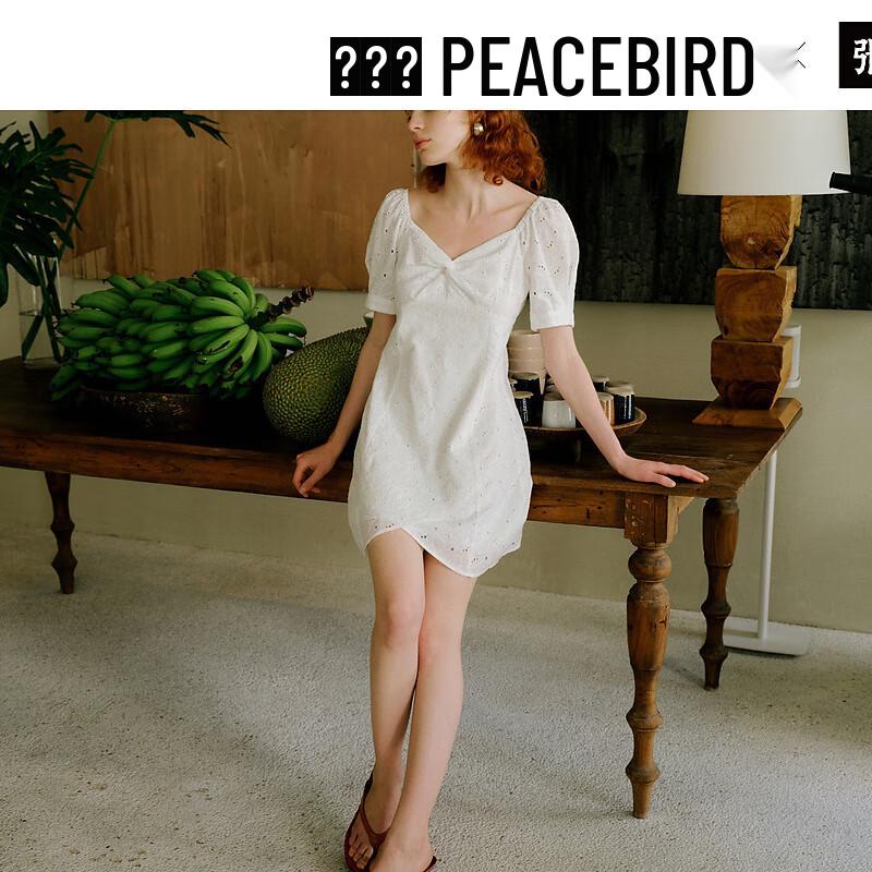 

PEACEBIRD Women s Embroidered Puff Sleeve A-Line Mini Dress M