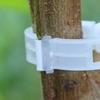 Clips de Support pour plantes, 100 pièces, Clips de fixation de vigne suspendue en plastique, longue durée, économie de travail, pour la maison
