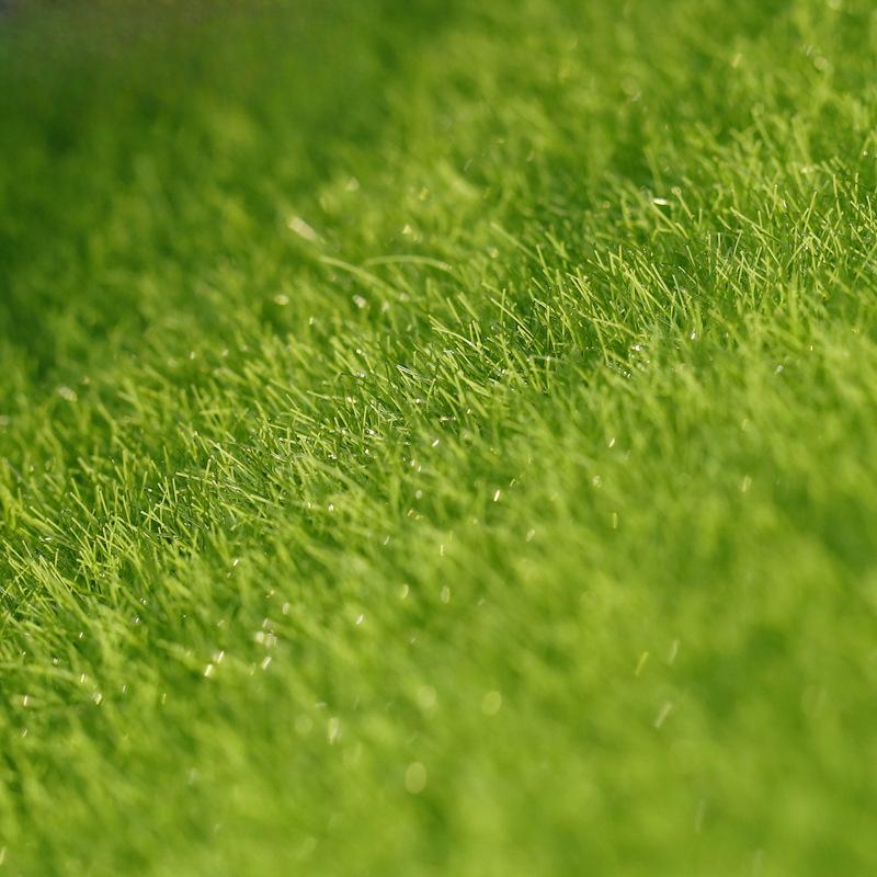 

Микро-ландшафт Симуляция Мха Искусственный Мох Экологическая БутылкаГазонный МохИскусственный Беловолосый Мох Ручной работы 15cm*15cm