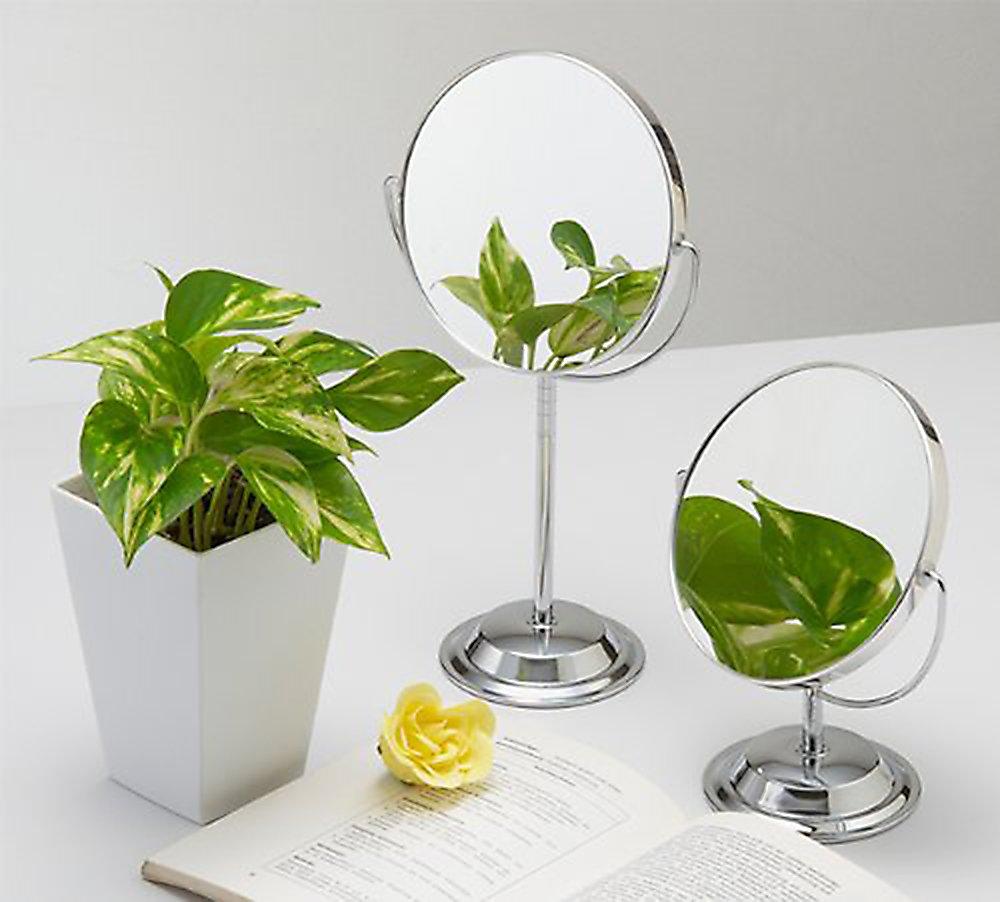 Merry Long Stem Tabletop Mirror with 2x 6860 Magnification, Silver,