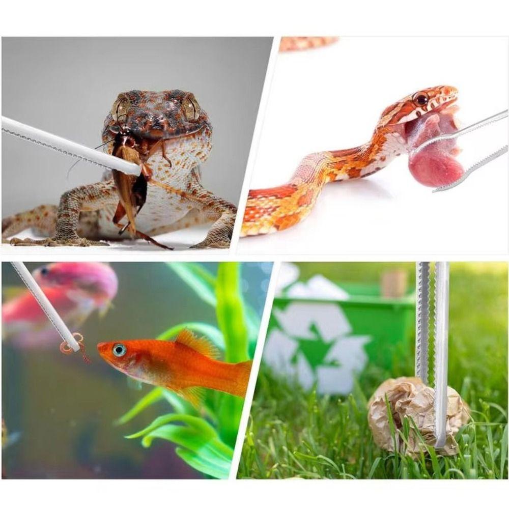 Anti-Skid Multi-function Stainless Steel Tongs Outdoor Fishing Catch Tool  Outdoor Sea Crab Fishing
