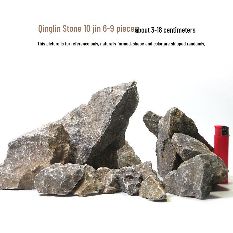 Azure Dragon Aquarium and Bonsai Landscaping Stone Set