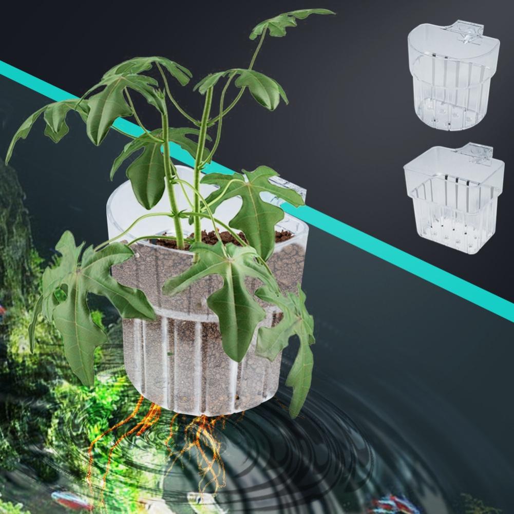 Set mit 8 transparenten Aquarienpflanzenhaltern mit Hängehaken, Kunststoff-Pflanzenkorb für Aquarium, Wasserpflanzen-Ausstellung