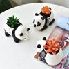 Cute Panda Flower Pot Succulent Pot Ceramic Planter Home Decor Desktop Ornaments Bonsai Plant Pot Garden Decoration