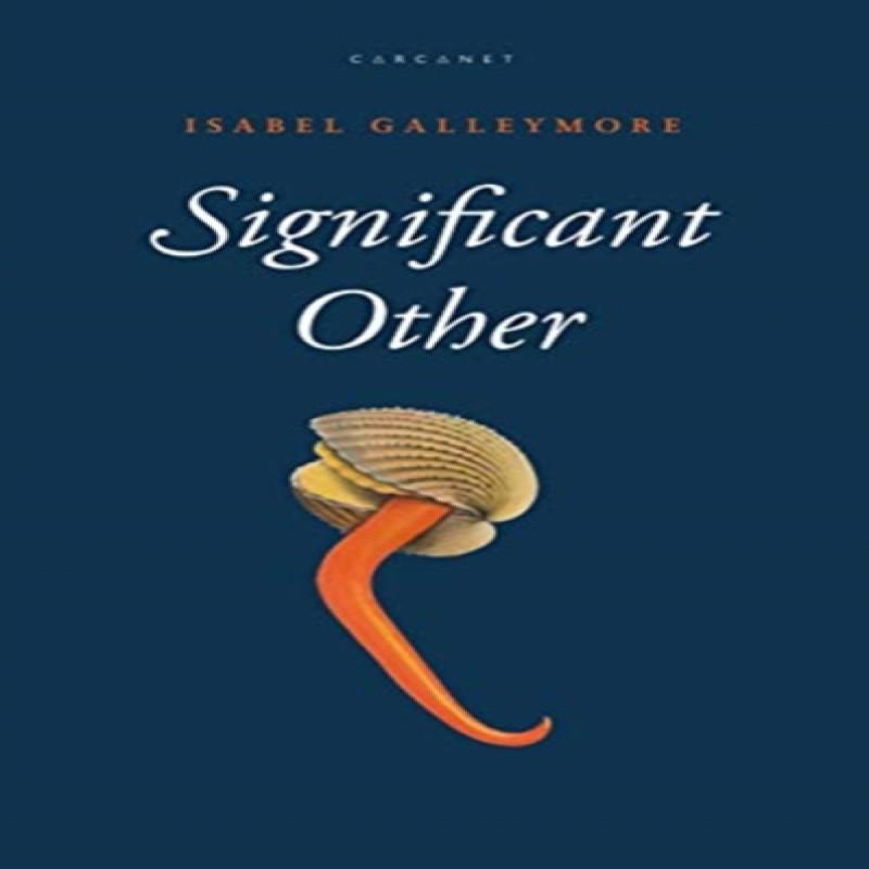 Significant Other by Isabel Galleymore Paperback Book 9781784107116