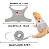 Bearded Dragon Adjustable Clothes Harness with Leash,Bearded Dragon Harness Leash Set for Lizards,Chameleon, Traction Rope Walking Leash Reptile