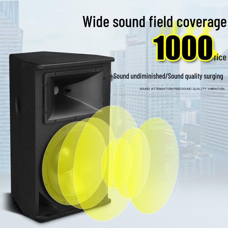 KAXISAIER Professional Full-Range Passive Speaker CN plug (adapter included)